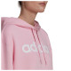 Adidas Γυναικείο φούτερ W LIN OV FL HD Adidas Γυναικείο φούτερ W LIN OV FL HD